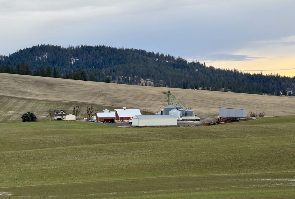 13102 S SR 27 Hwy, Mica, WA 99023 photo 2