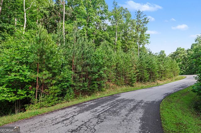 230 Rushing Water Drive, Blairsville, GA 30512