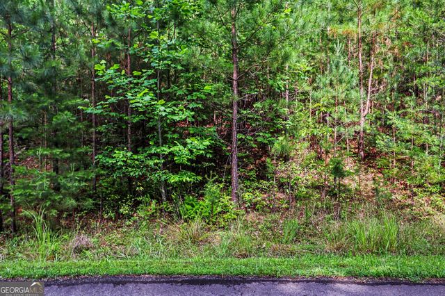 230 Rushing Water Drive, Blairsville, GA 30512
