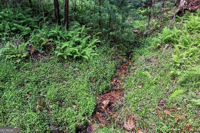 230 Rushing Water Drive, Blairsville, GA 30512