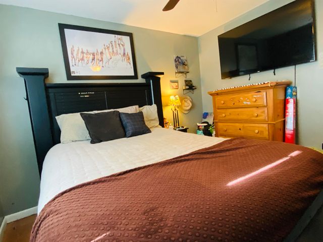 196 McSpadden Road, Mount Pleasant, AR 72561