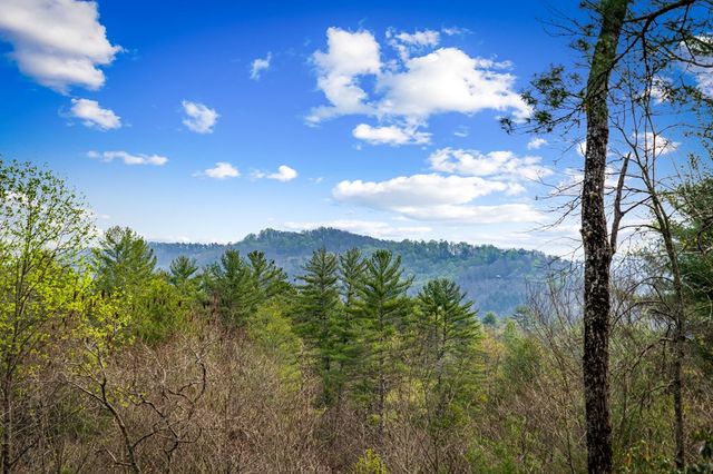 9 Dean Court, Blue Ridge, GA 30513