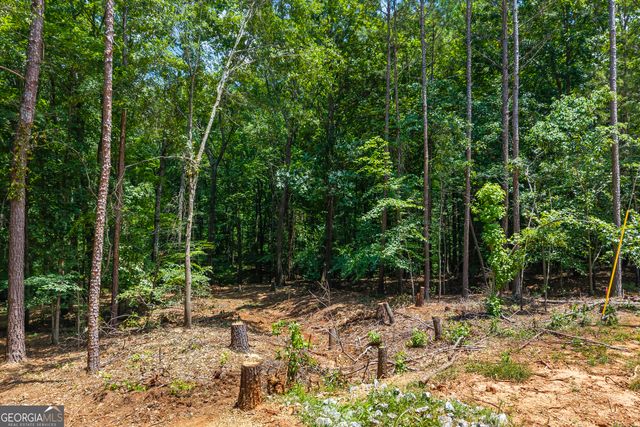 0 Tall Oaks Road, Watkinsville, GA 30677