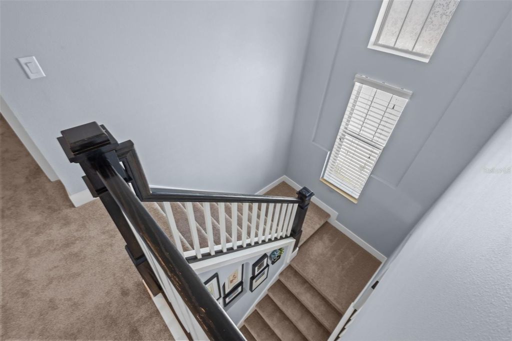 Image 18 of property listing at 3537 PICKERELL PLACE, New Port Richey, FL 34655
