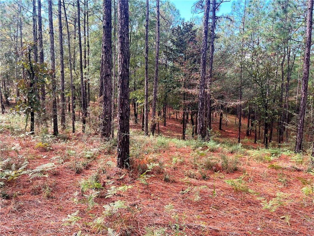 0 State Highway 225, Bay Minette, AL 36507 — exterior