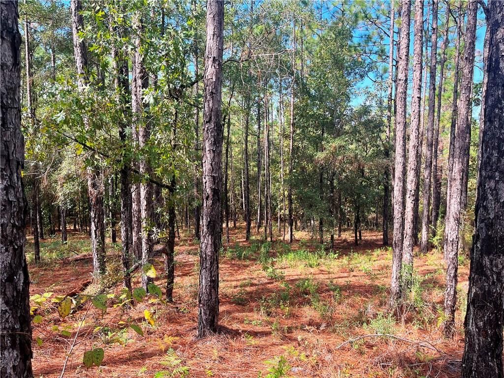 0 State Highway 225, Bay Minette, AL 36507 — photo 2