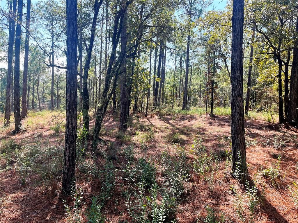 0 State Highway 225, Bay Minette, AL 36507 — photo 3