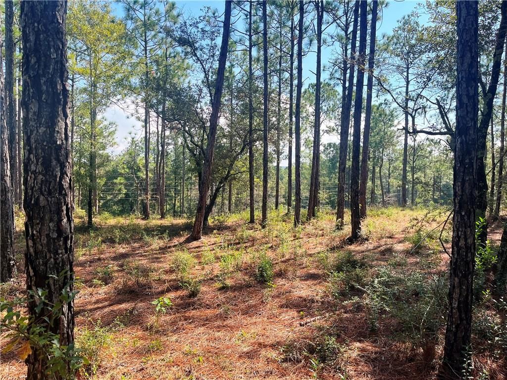 0 State Highway 225, Bay Minette, AL 36507 — photo 4