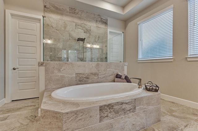 305 Pewter Sky Drive, Montgomery, TX 77316