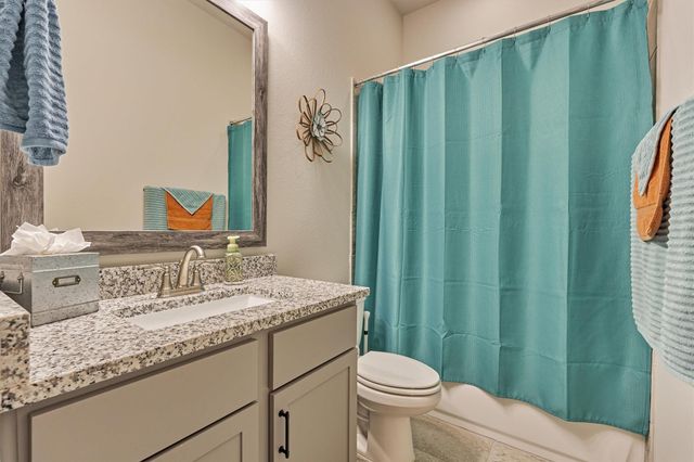 305 Pewter Sky Drive, Montgomery, TX 77316