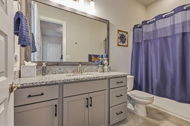 305 Pewter Sky Drive, Montgomery, TX 77316