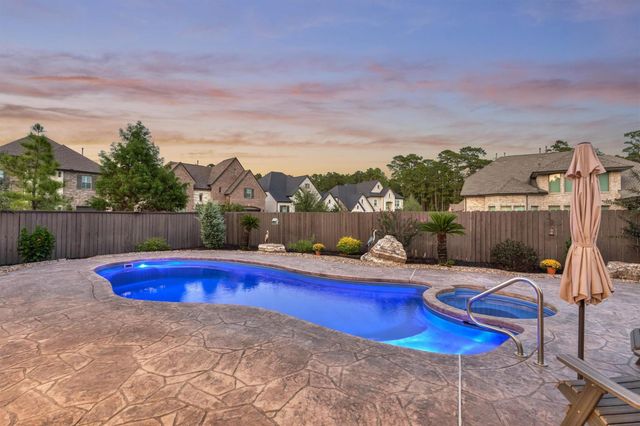 305 Pewter Sky Drive, Montgomery, TX 77316