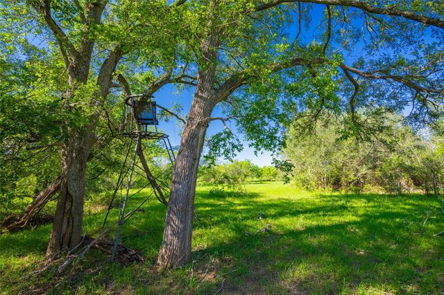 0 Sparta Field Road, Waelder, TX 78959