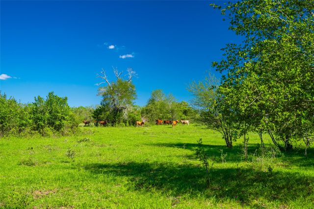 0 Sparta Field Road, Waelder, TX 78959