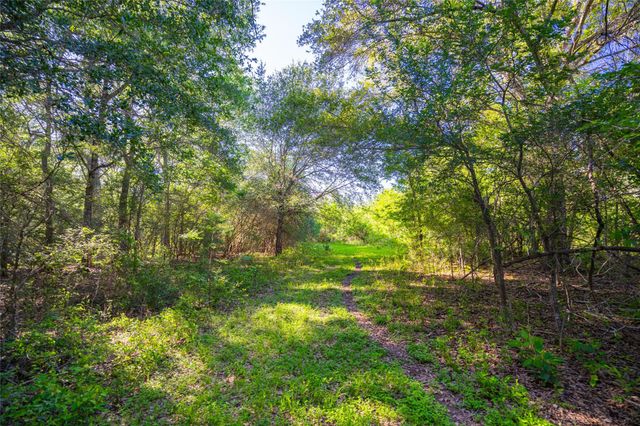 0 Sparta Field Road, Waelder, TX 78959