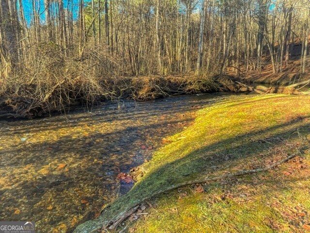 188 Clear Creek Valley Drive, Ellijay, GA 30536