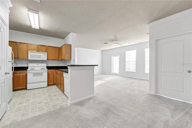 19935 VILLA VIEW CIRCLE 306, Orlando, FL 32821