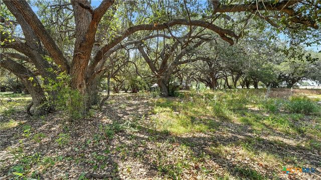 1784 Fm 538, Stockdale, TX 78160