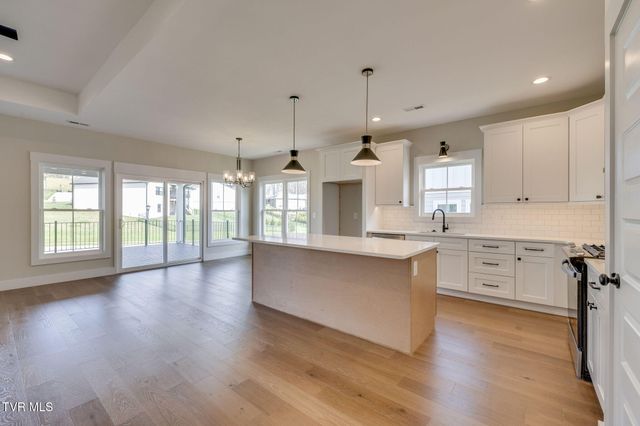 266 Winston Place, Johnson City, TN 37615