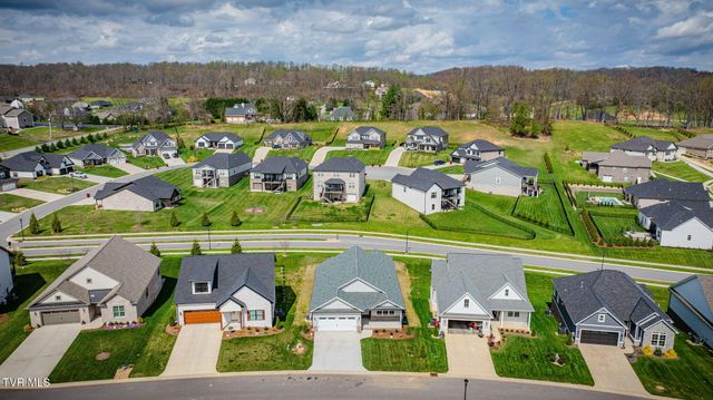 266 Winston Place, Johnson City, TN 37615