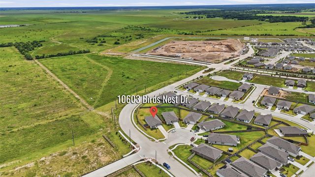 10603 Birds Nest Drive, Beasley, TX 77417