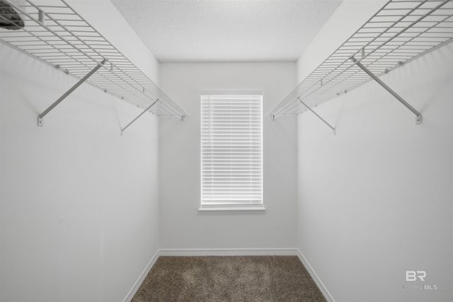 16423 Absalom Street, Foley, AL 36535