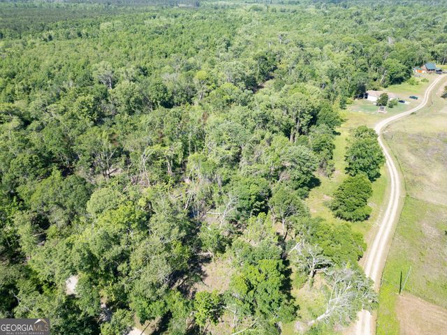 LOT 20 The River Landing, Midville, GA 30441