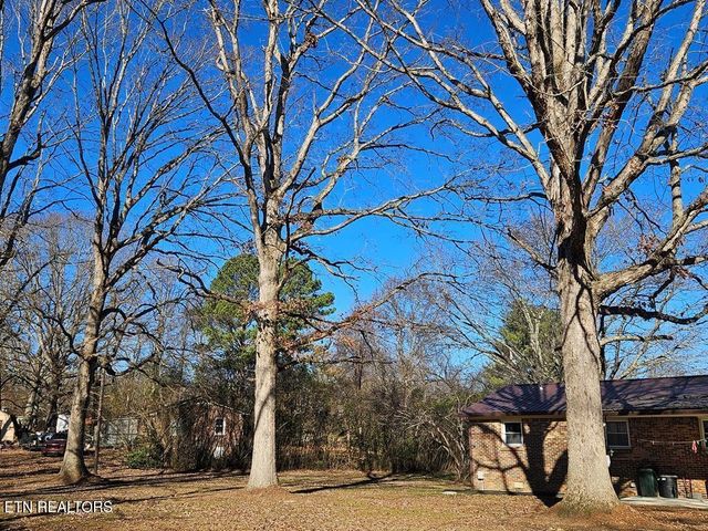 408 Shady Oaks Drive, Spencer, TN 38585