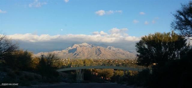 8601 N Johnny Miller Drive, Tucson, AZ 85704