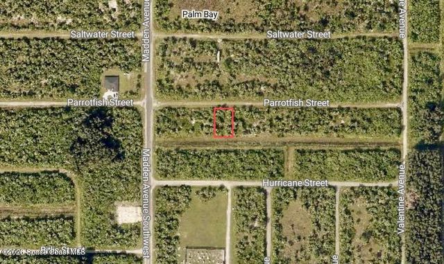 756 Parrotfish Street SW, Palm Bay, FL 32908