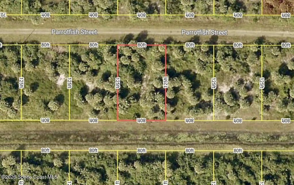 756 Parrotfish Street SW, Palm Bay, FL 32908