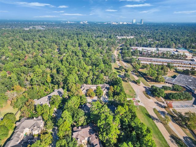 83 Scarlet Woods Court 83, The Woodlands, TX 77380