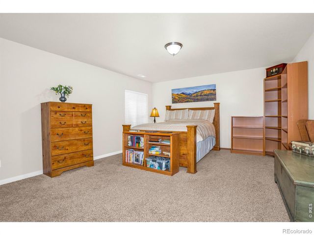 905 Volans Drive, Loveland, CO 80537