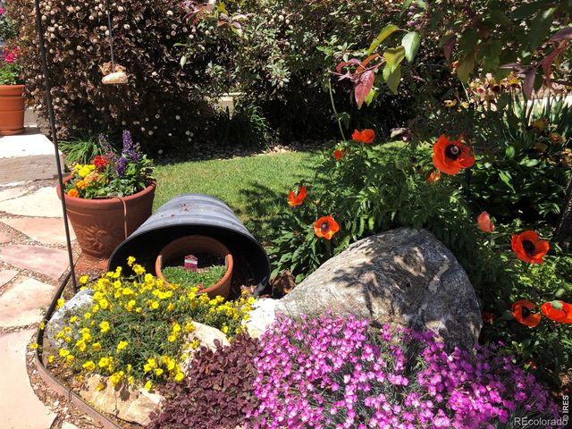 905 Volans Drive, Loveland, CO 80537