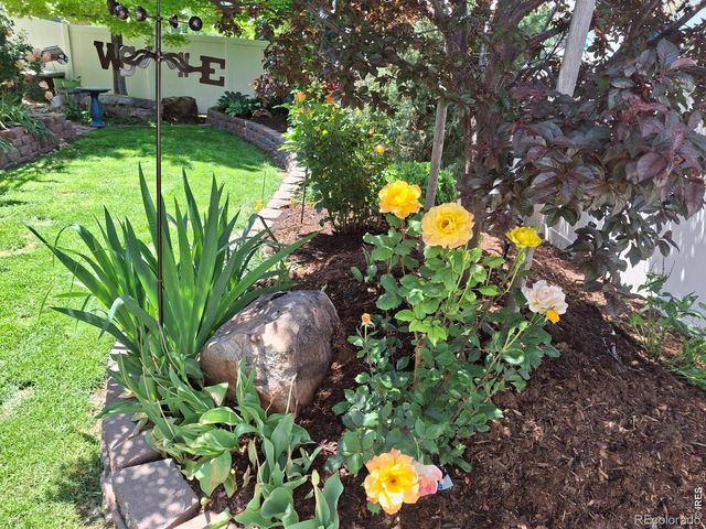 905 Volans Drive, Loveland, CO 80537