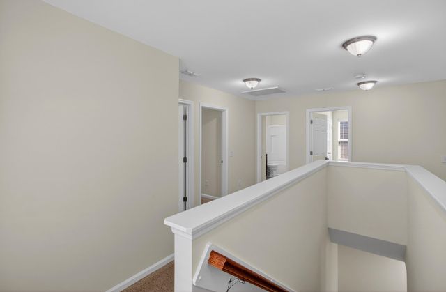 163 Basket Grass Lane, Summerville, SC 29486