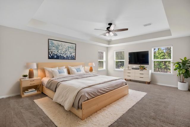 163 Basket Grass Lane, Summerville, SC 29486