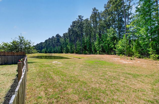 163 Basket Grass Lane, Summerville, SC 29486