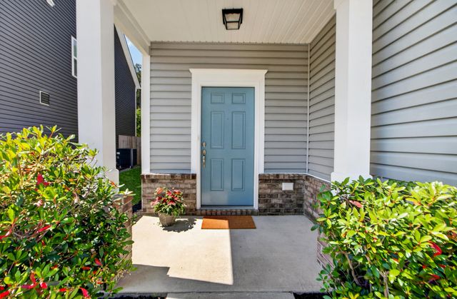 163 Basket Grass Lane, Summerville, SC 29486