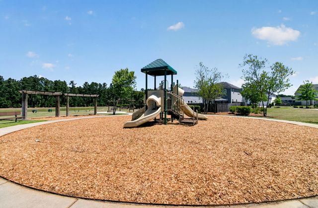 163 Basket Grass Lane, Summerville, SC 29486