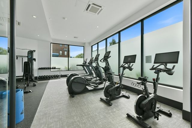 50 Leo M. Birmingham Parkway 506-A, Boston, MA 02135
