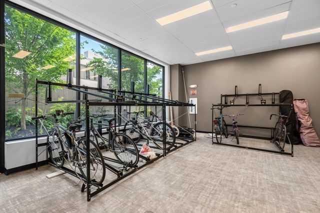 50 Leo M. Birmingham Parkway 506-A, Boston, MA 02135