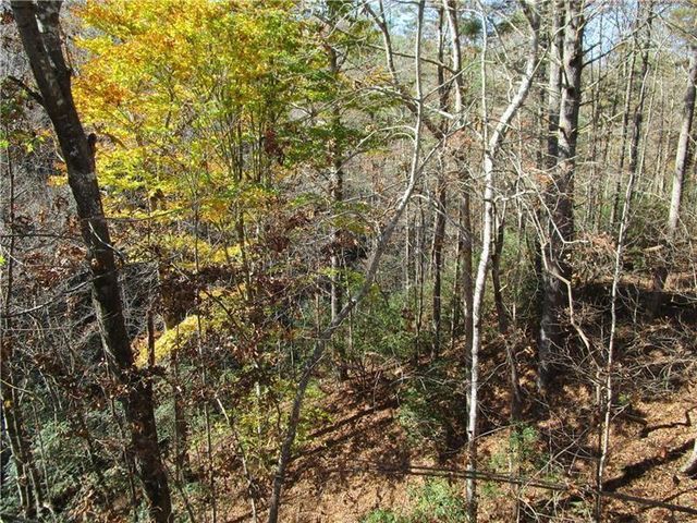 17 Dach Bruecke Gasse, Helen, GA 30545