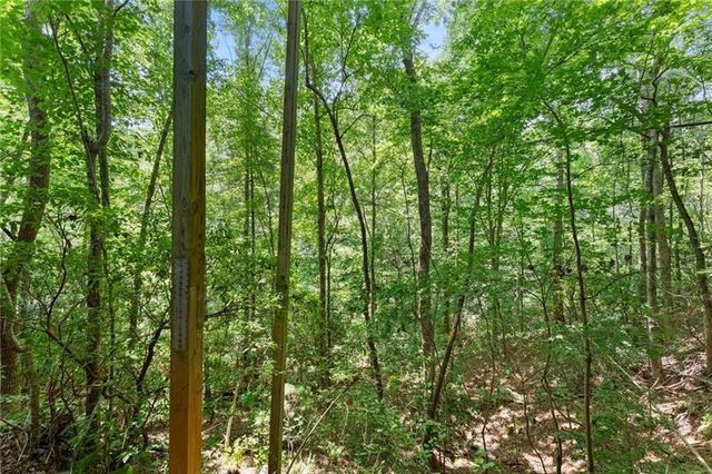 17 Dach Bruecke Gasse, Helen, GA 30545