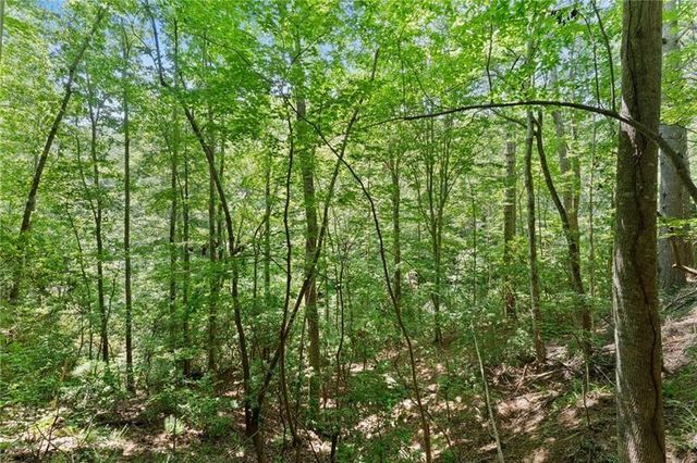 17 Dach Bruecke Gasse, Helen, GA 30545