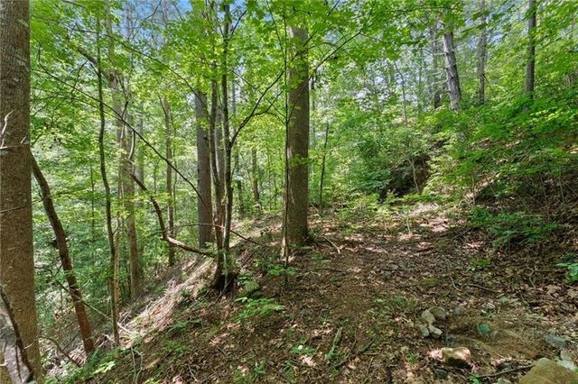 17 Dach Bruecke Gasse, Helen, GA 30545