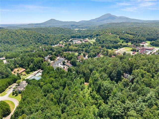 17 Dach Bruecke Gasse, Helen, GA 30545