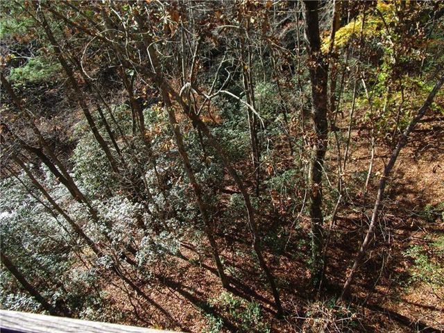 17 Dach Bruecke Gasse, Helen, GA 30545