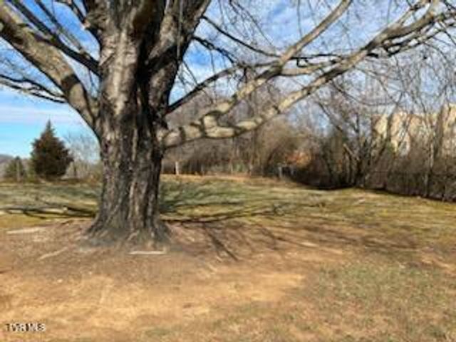 2616 Mimosa Lane, Johnson City, TN 37604