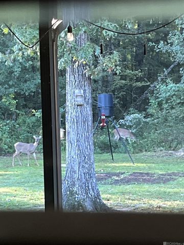 17010 Bradford Ave, Greenwell Springs, LA 70739